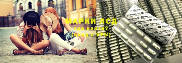 прущие грибы Алексеевка