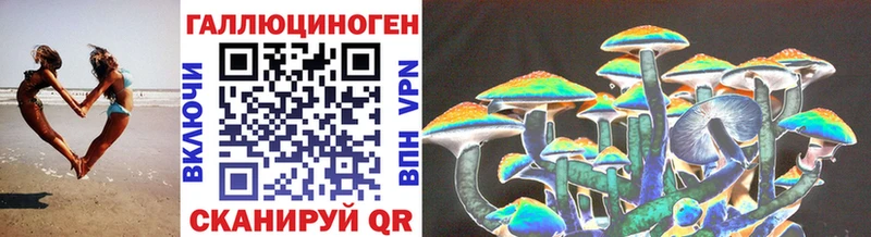 Псилоцибиновые грибы Psilocybine cubensis  мега рабочий сайт  Ачинск  как найти закладки 
