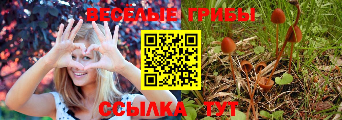 Ачинск  Псилоцибиновые грибы Psilocybe  Вход с VPN 