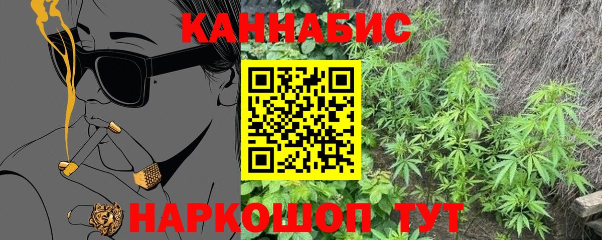 Каннабис планчик  Каннабис планчик  Ачинск  Шишки марихуана семена  Вход с VPN  Конопля план 